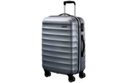 Samsonite Palm Valley 67cm Spinner Suitcase - Silver